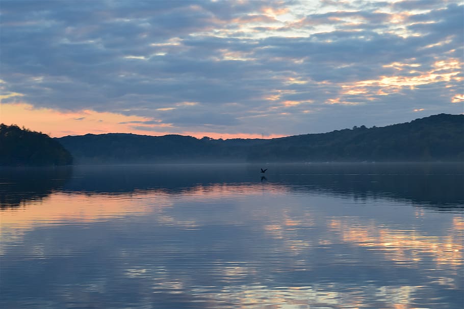 lake, sunset, bird, reflection, flight, nature, evening, sky HD wallpaper