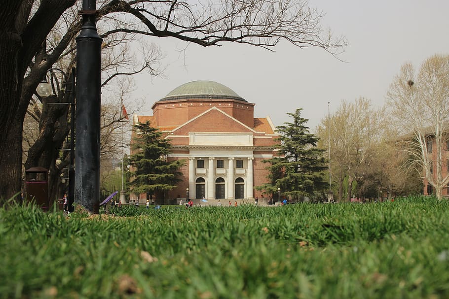 plant, grass, building, architecture, planetarium, tree, observatory HD wallpaper