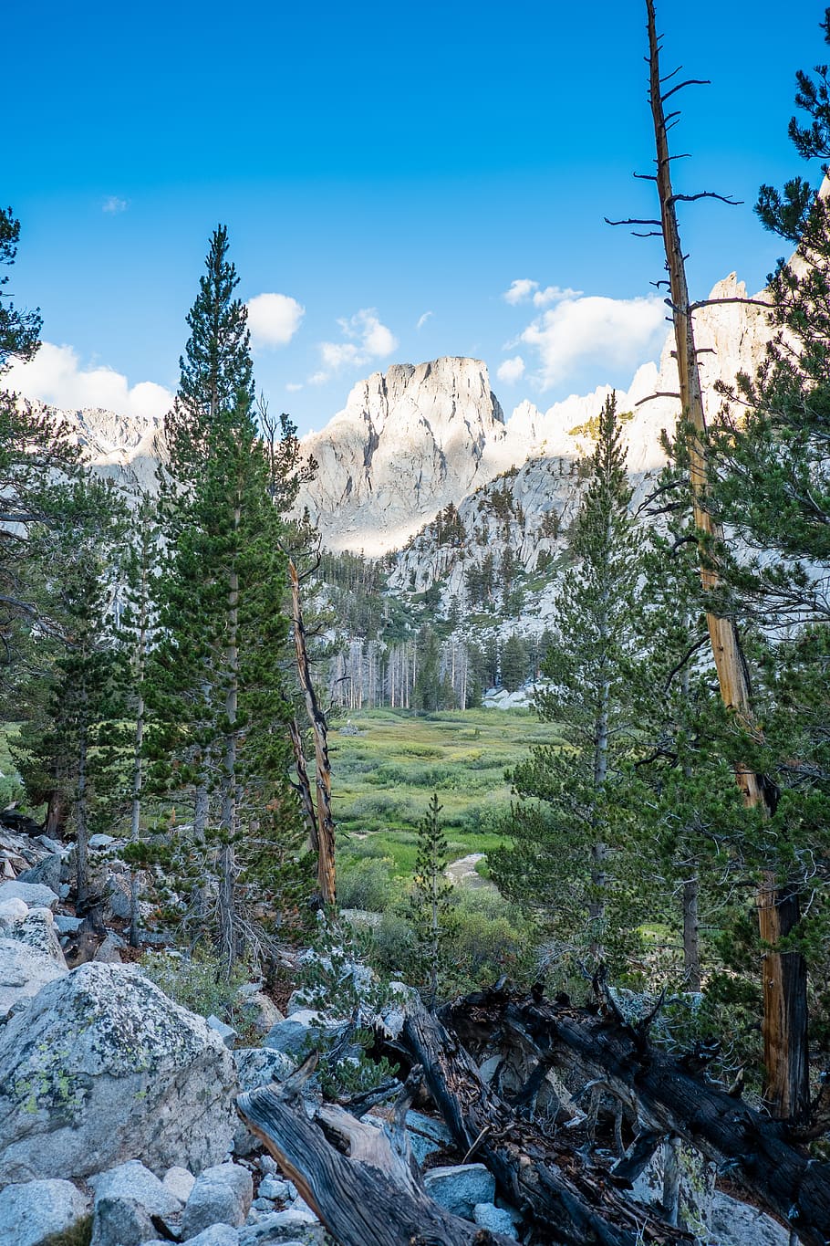 mountains, whitney, trees, nature, outdoors, plant, sky, beauty in nature HD wallpaper
