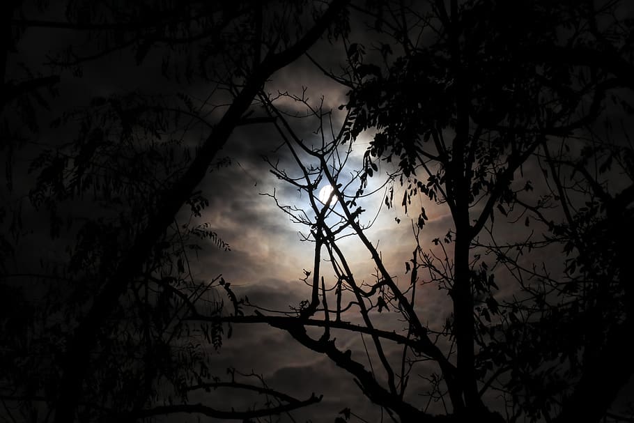 sun, clouds, gloomy, mood, twilight, atmospheric, dusk, sky HD wallpaper