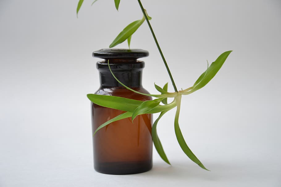 Green Leaf Plant Near White Wall, aromatherapy, bottle, close-up HD wallpaper