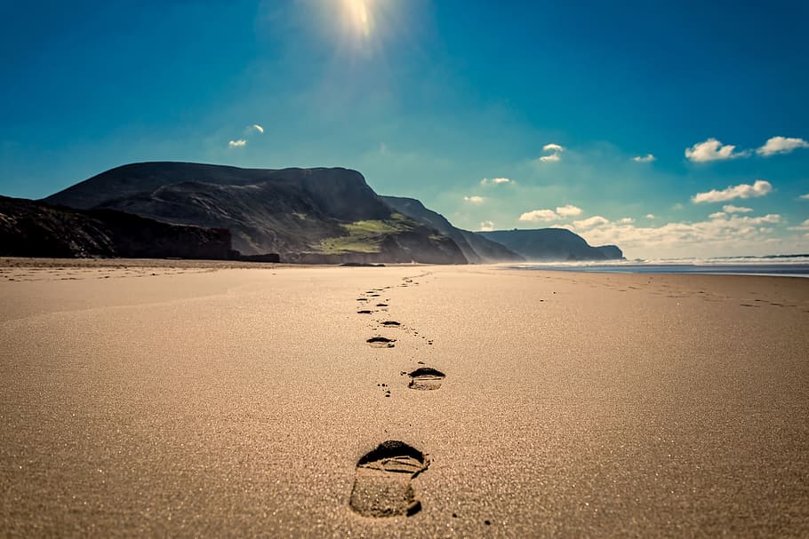 footsteps, beach, sand, sea, ocean, journey, coast, path, outdoor, HD wallpaper