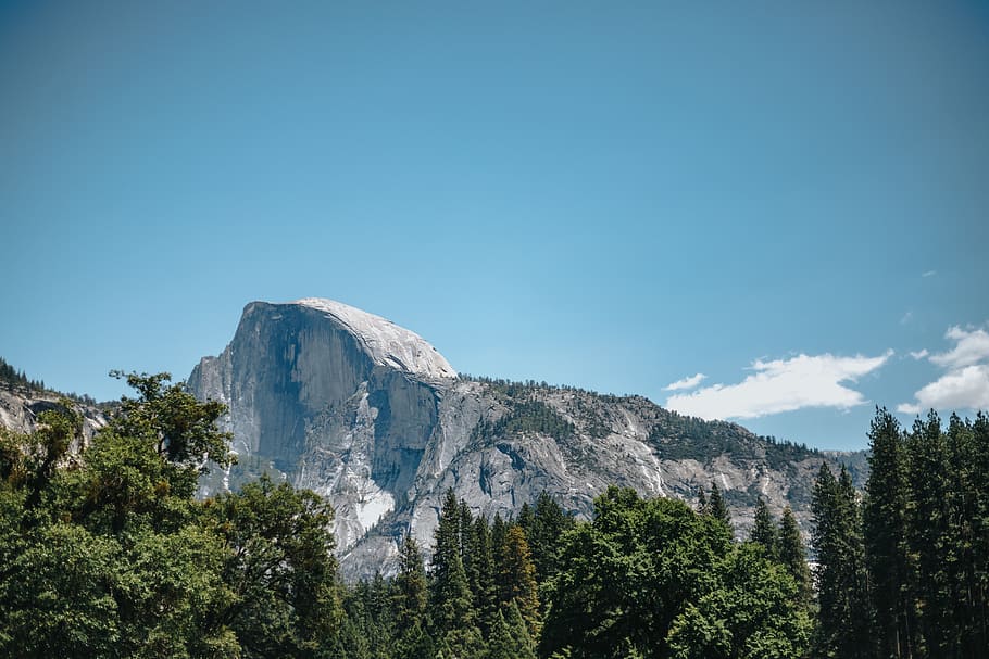 cloud, green, blue, sky, halfdome, yosemite, tree, landscape HD wallpaper