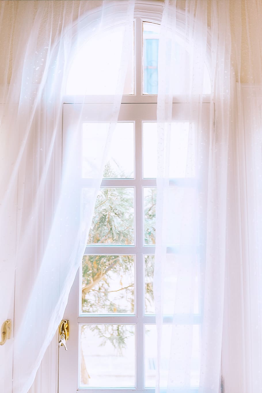 white curtain in white wooden framed window, plant, picture window