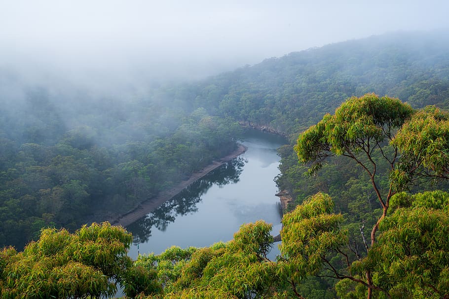 australia, sydney, trees, river, vista, top view, mountains HD wallpaper