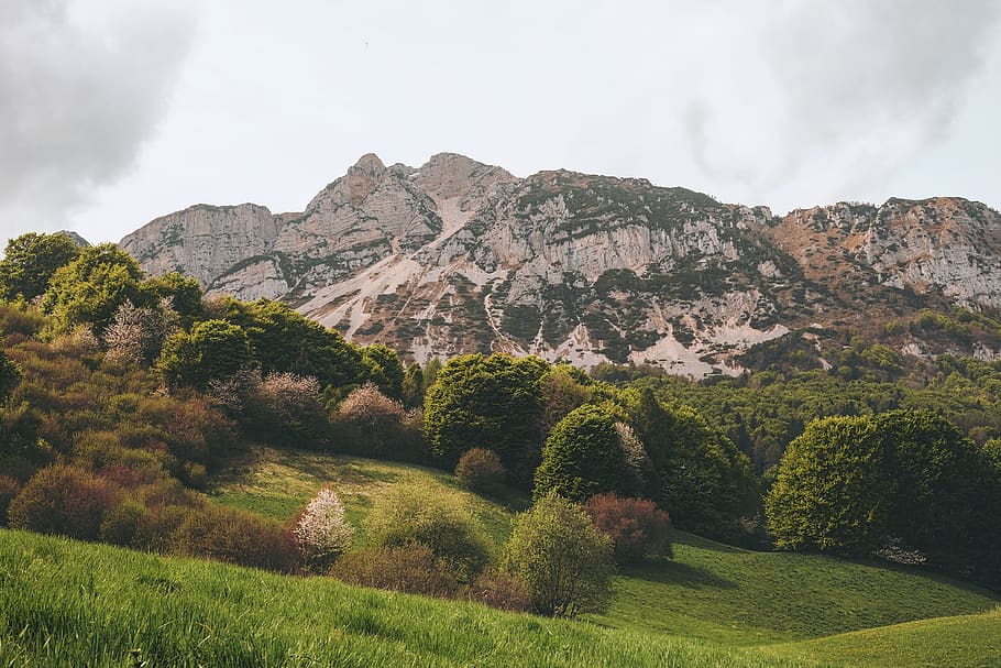 trees and mountain, nature, forest, landscape, italy, monte stivo HD wallpaper