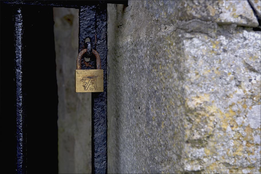 padlock, gate, closed, iron, metal, rusty, entrance, security HD wallpaper