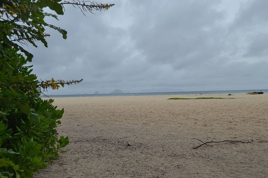 thailand, beach, landscape, tree, sand, sky, cloud - sky, beauty in nature HD wallpaper