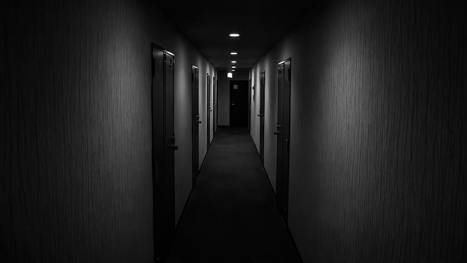 corridor, flooring, japan, kyoto, monochrome, black and white