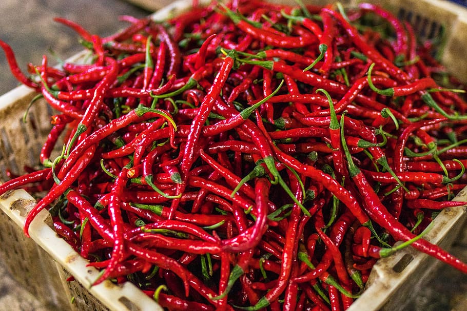 Premium Photo | Red chilli or lal mirchi or mirch with powder in a bowl or  mortar over moody background, selective focus