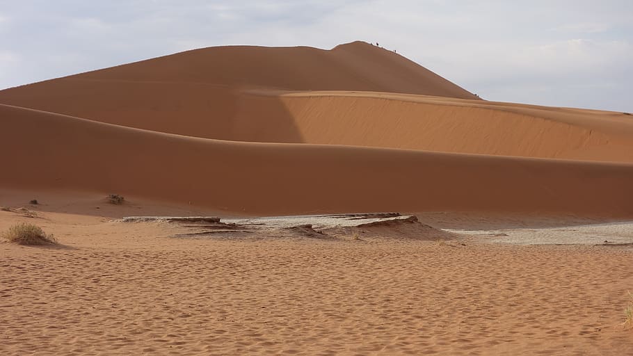 desert, namib, sand, dunes, dry, namib desert, sand dunes, land, HD wallpaper