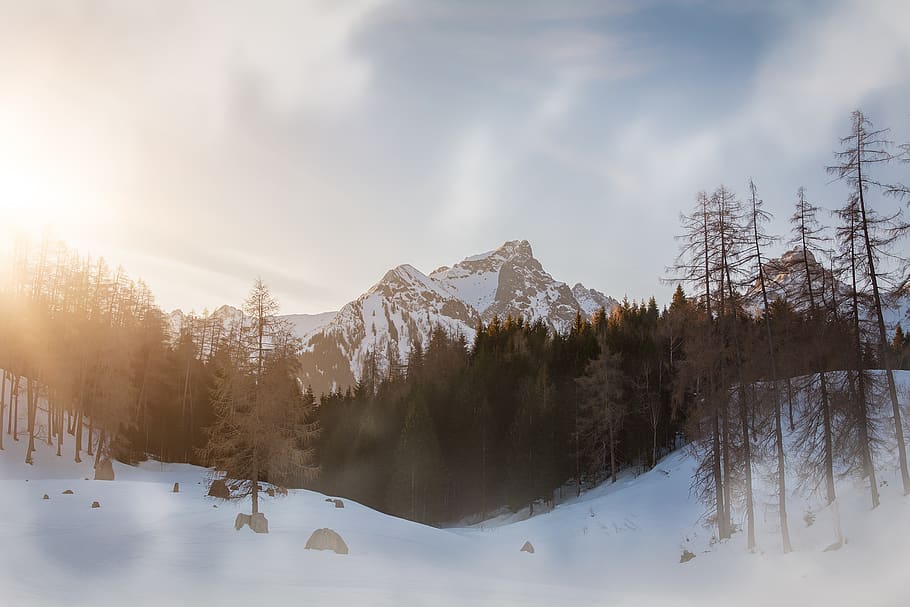 landscape, snow, mountains, alm, alpe, winter, fog, morning HD wallpaper