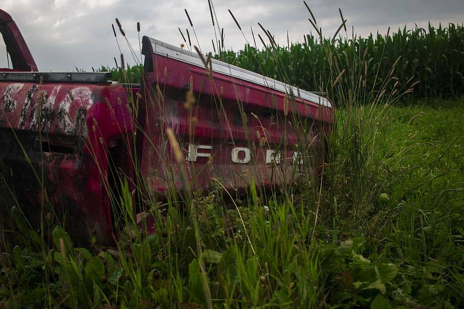canada, mildmay, rust, old, ford, trees, broken, grass, truck HD wallpaper