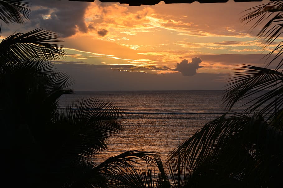 sunset, mauritius, sea, beach, palm trees, sky, clouds, vacations HD wallpaper