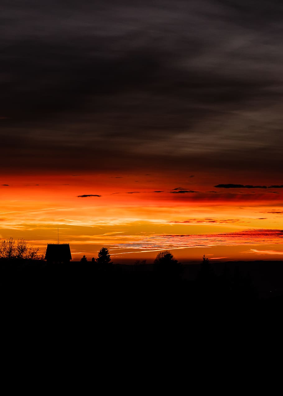 Silhouette of Trees during Golden Hour, clouds, colors, dark HD wallpaper
