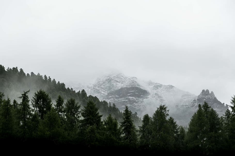mountain, valley, tree, plant, nature, landscape, clouds, sky HD wallpaper