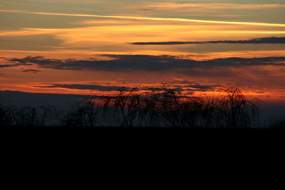 sun, sunset, nature, sky, orange, cloud - sky, beauty in nature HD wallpaper