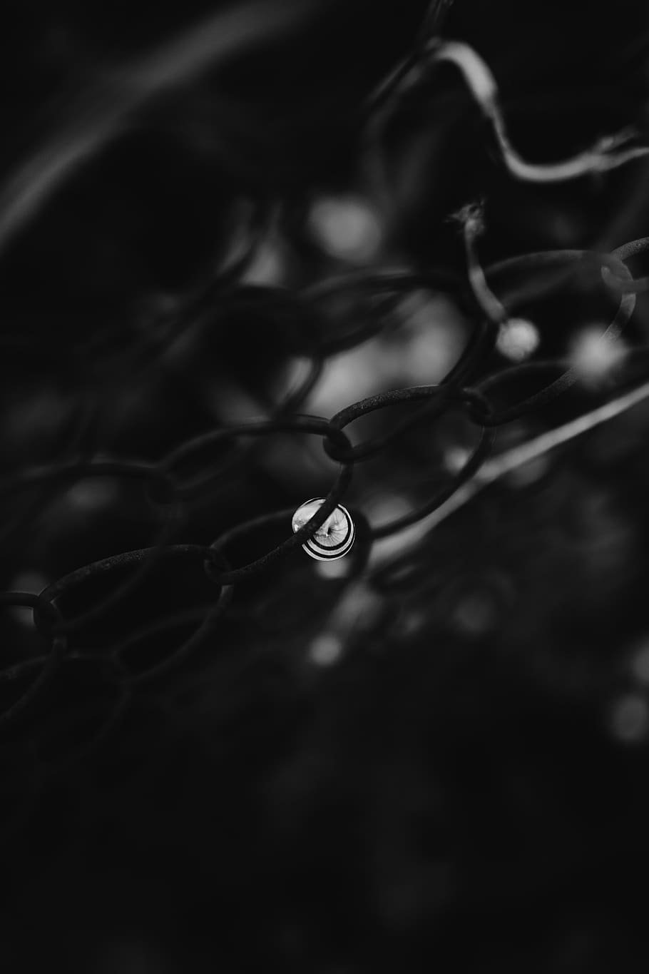 droplet, bubble, accessory, accessories, glasses, sphere, plant HD wallpaper