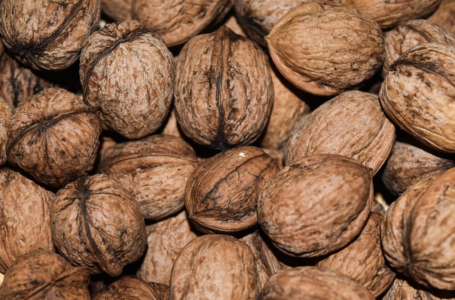 walnut, walnuts, food, brown, shell, texture, fruit, fruits HD wallpaper