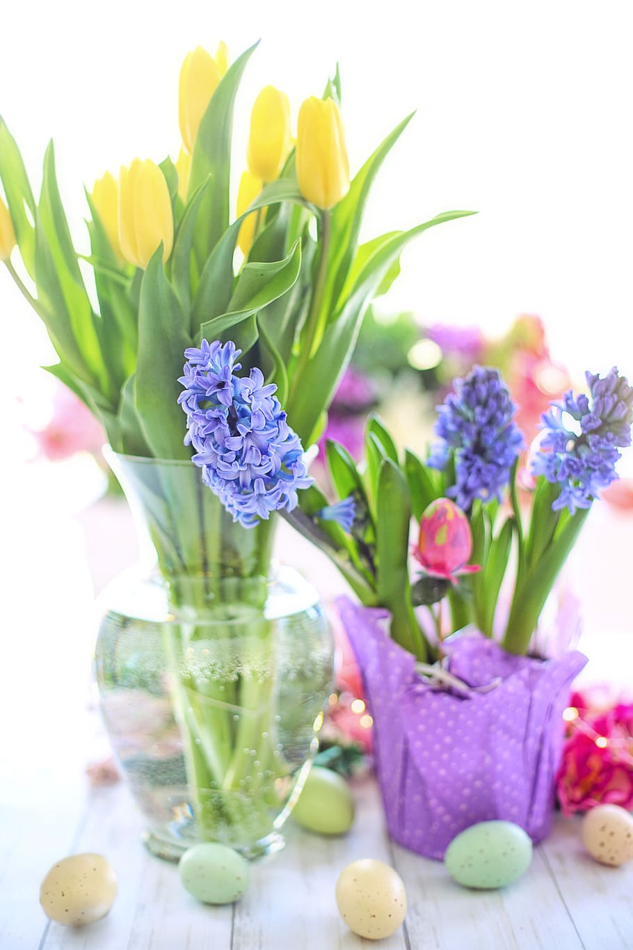 easter, hyacinth, purple, eggs, flowers, spring, nature, blossoms HD wallpaper