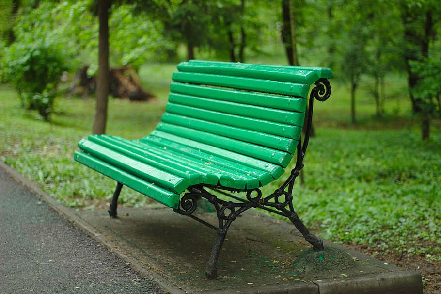 bank, spring, park, rest, wood, relaxation, empty, plant, seat HD wallpaper