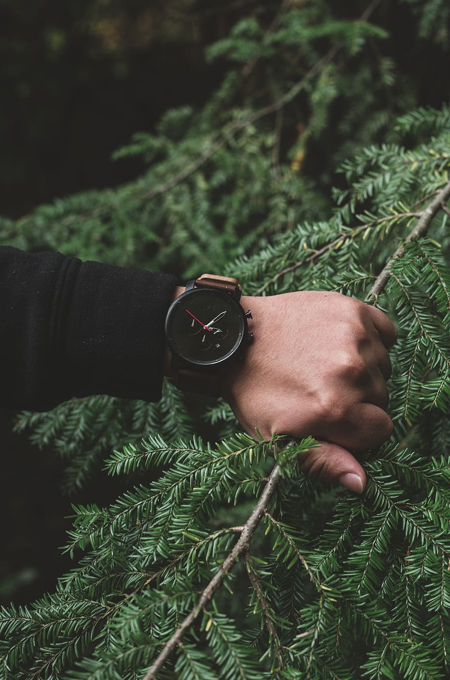 round black analog watch, one person, green color, human hand HD wallpaper