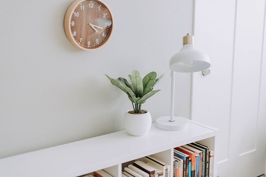 green plant on white pot beside white study lamp, clock, bookshelf