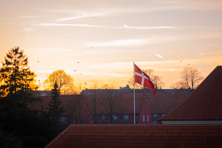 denmark, copenhagen, flag, sunset, tree, architecture, sky HD wallpaper