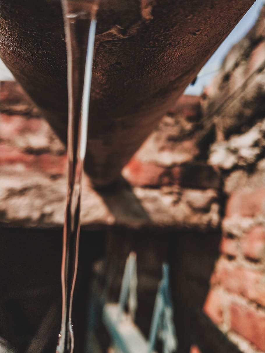close-up, no people, day, nature, wall, outdoors, focus on foreground HD wallpaper