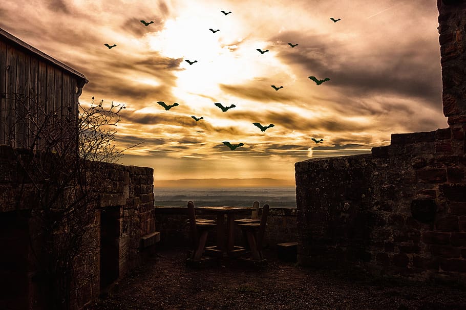 sunset, panorama, dusk, light, dawn, evening, architecture HD wallpaper