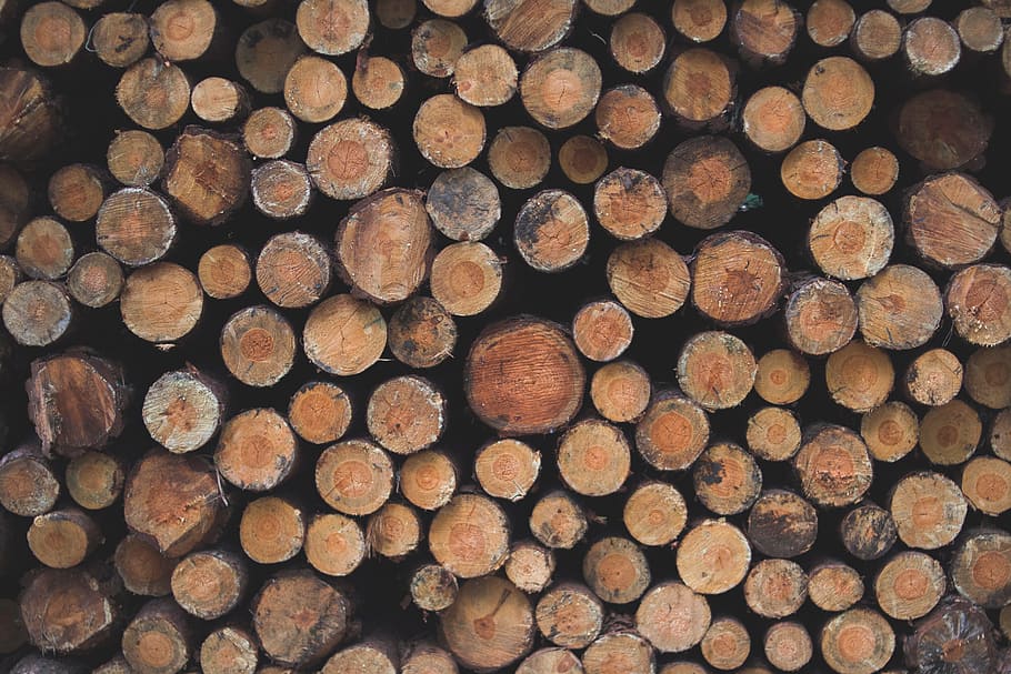 large, chopped, logs, wood, forest, woods, cut, stacked, timber, HD wallpaper