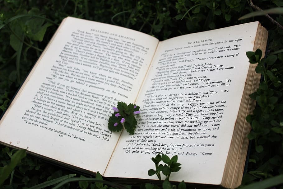 green leaf on book, text, publication, communication, western script HD wallpaper