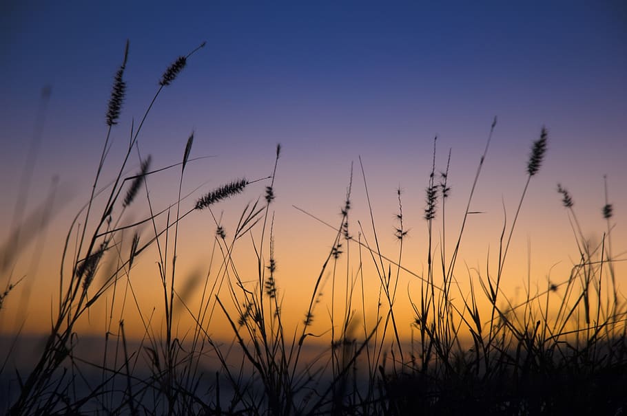 sunset, sky, landscape, nature, light, dusk, sea, romantic HD wallpaper
