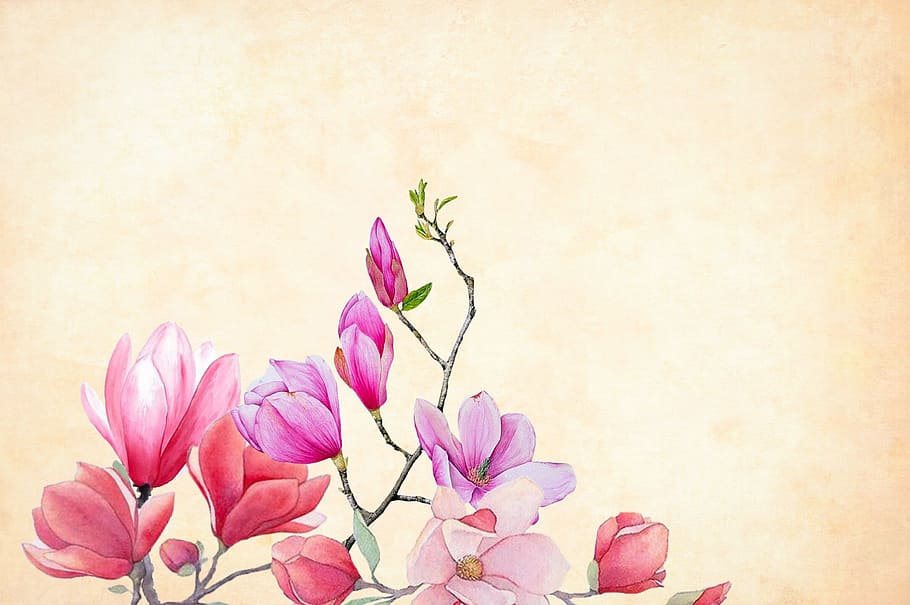 pink flowers over textures light background, watercolor, floral, HD wallpaper