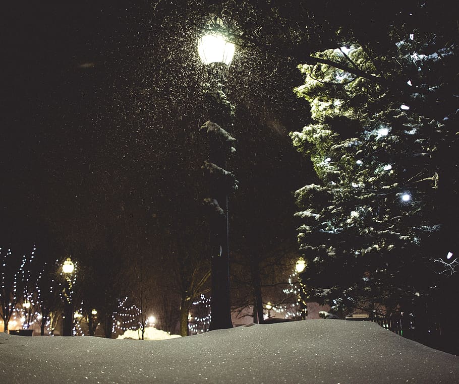 canada, goderich, lamp, night, christmas lights, trees, snow HD wallpaper