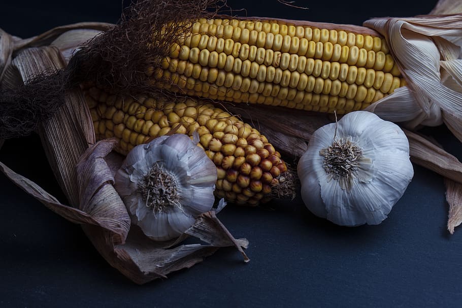 corn, garlic, onion, eat, fresh, nutrition, food, nature, kitchen HD wallpaper