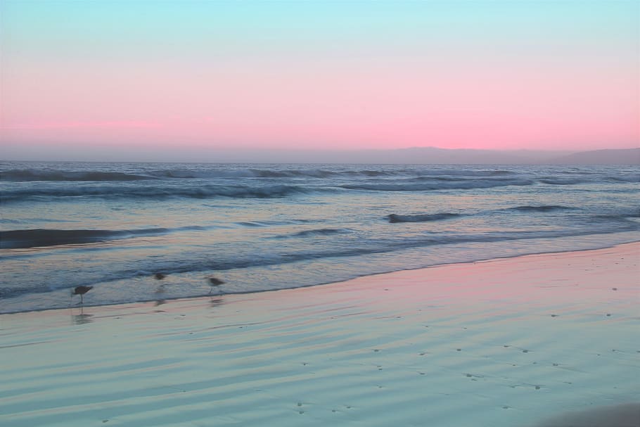ocean, waves, sunset, pink, blue, nature, water, beauty in nature HD wallpaper
