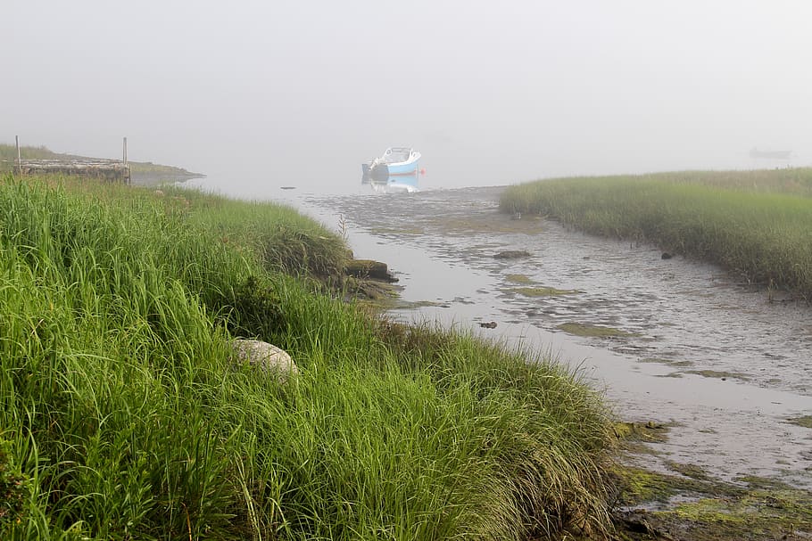 canada, petite rivière, water, grass, plant, nature, nautical vessel HD wallpaper