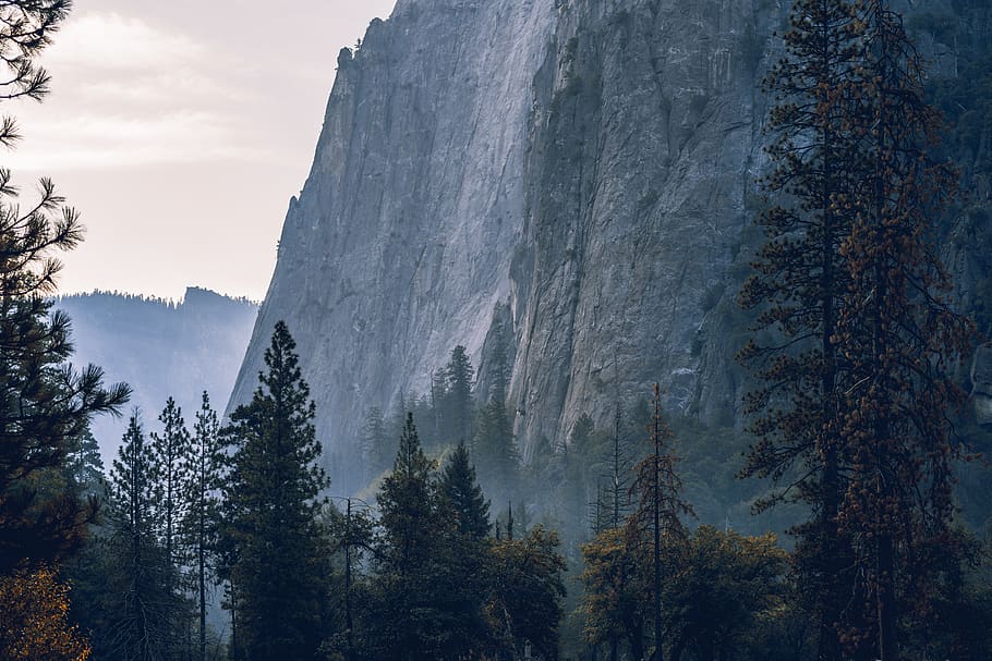 green leafed trees, mountain, cliff, united states, yosemite valley HD wallpaper