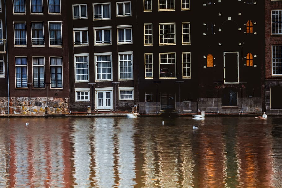 brown concrete buildings, water, outdoors, nature, window, transportation HD wallpaper