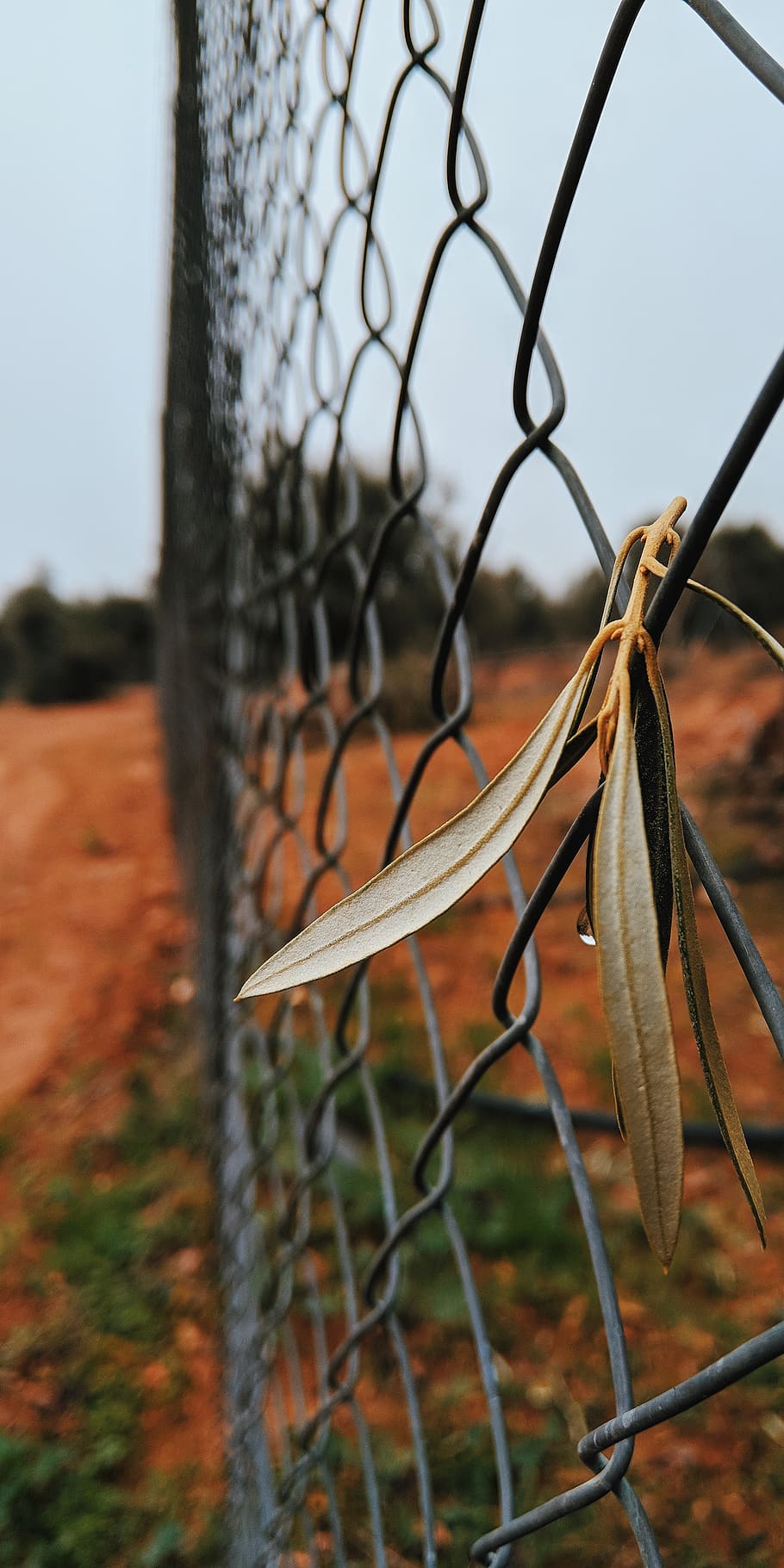 fence, barrier, boundary, security, protection, safety, chainlink fence HD wallpaper