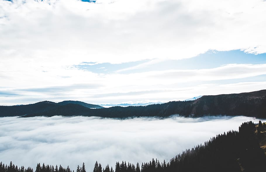 HD wallpaper: sea of clouds overlooking mountains at daytime, tree ...