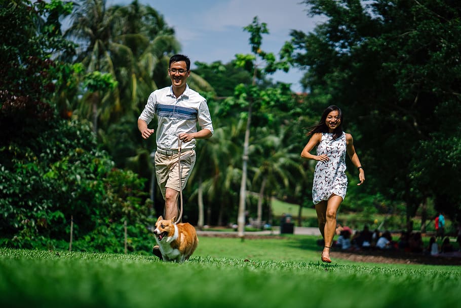 Man and Woman Running Near Green Leaf Trees Photo, active, activity