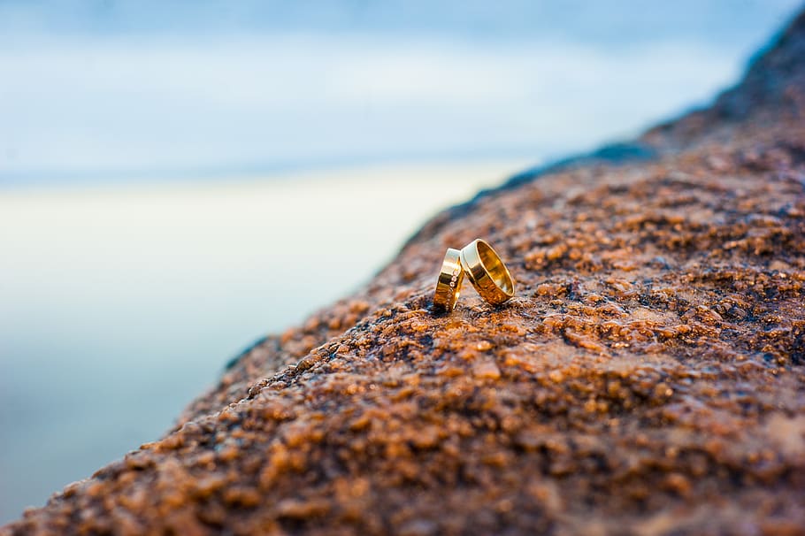 alliance, objects, marriage, beach, stone, union, set, animal wildlife HD wallpaper