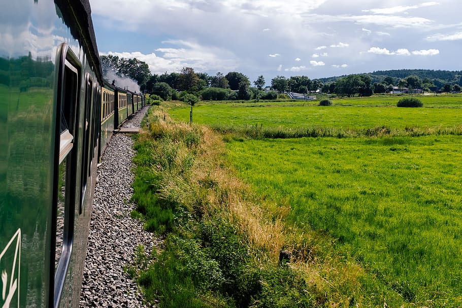 Train turn, background, beautiful, blue, countryside, field, forest HD wallpaper