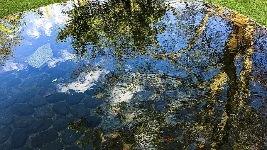 pond, water, reflections, tree, grass, sky, stones, leaves HD wallpaper