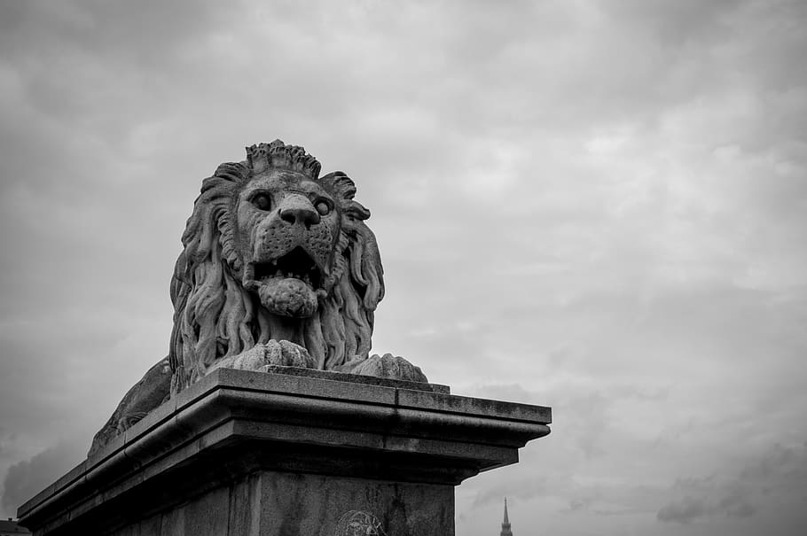 chain, bridge, budapest, lion, sculpture, river, capital, historic