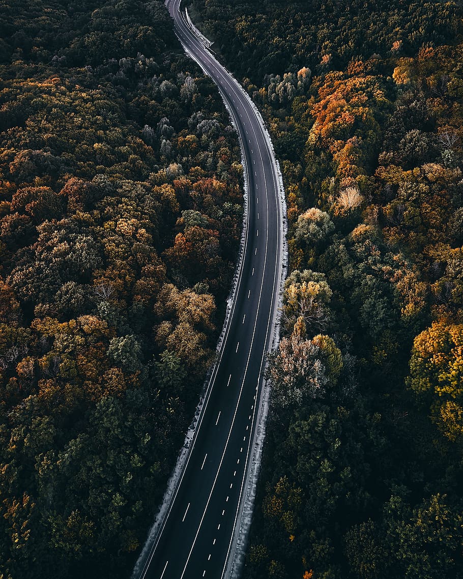 HD wallpaper: aerial photography of road between trees, pavement ...