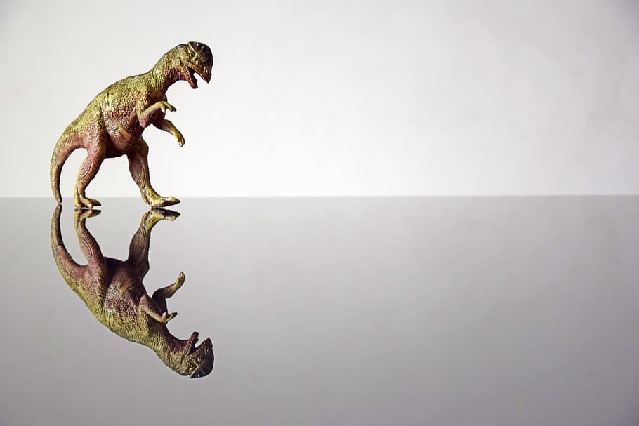 dinosaur, mockup, background, reflection, creative, design HD wallpaper