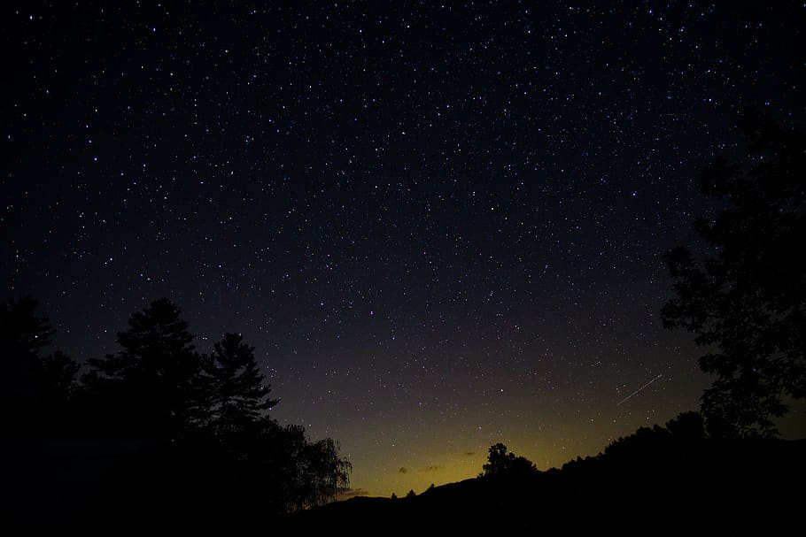 silhouette of trees under starry sky, constellation, sunset, starlight, HD wallpaper